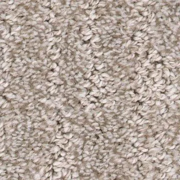 carpet-img