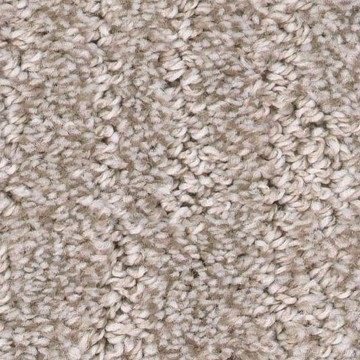 Carpet swatch | Alfieri Floor Experts